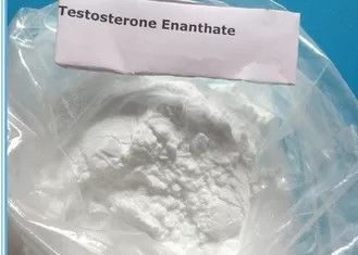 Анаболические стероиды пудрят порошок Энантате тестостерона 99% используемый для того чтобы Мускле здание 315-37-7